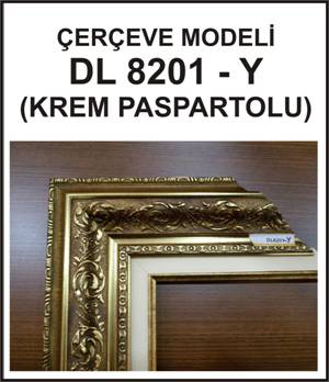�ER�EVE MODEL�  DL 8201 - Y  KREM PASPARTOLU