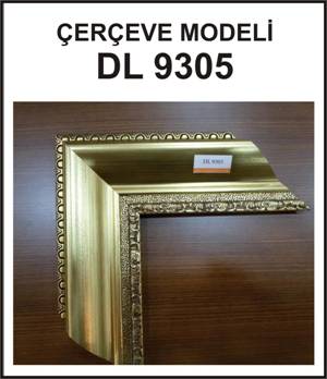 �ER�EVE MODEL�  DL 9305